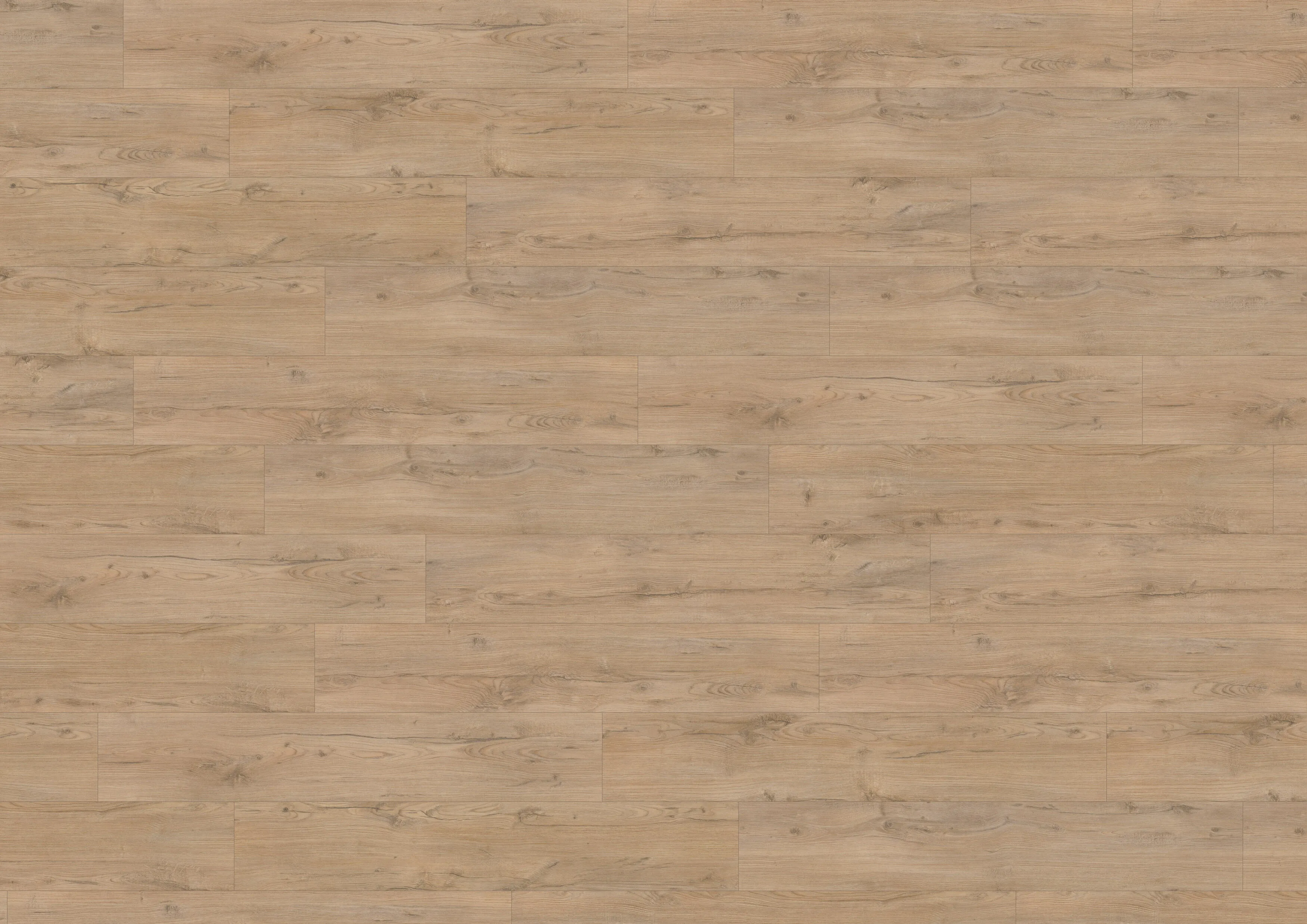 Rome Oak Beige