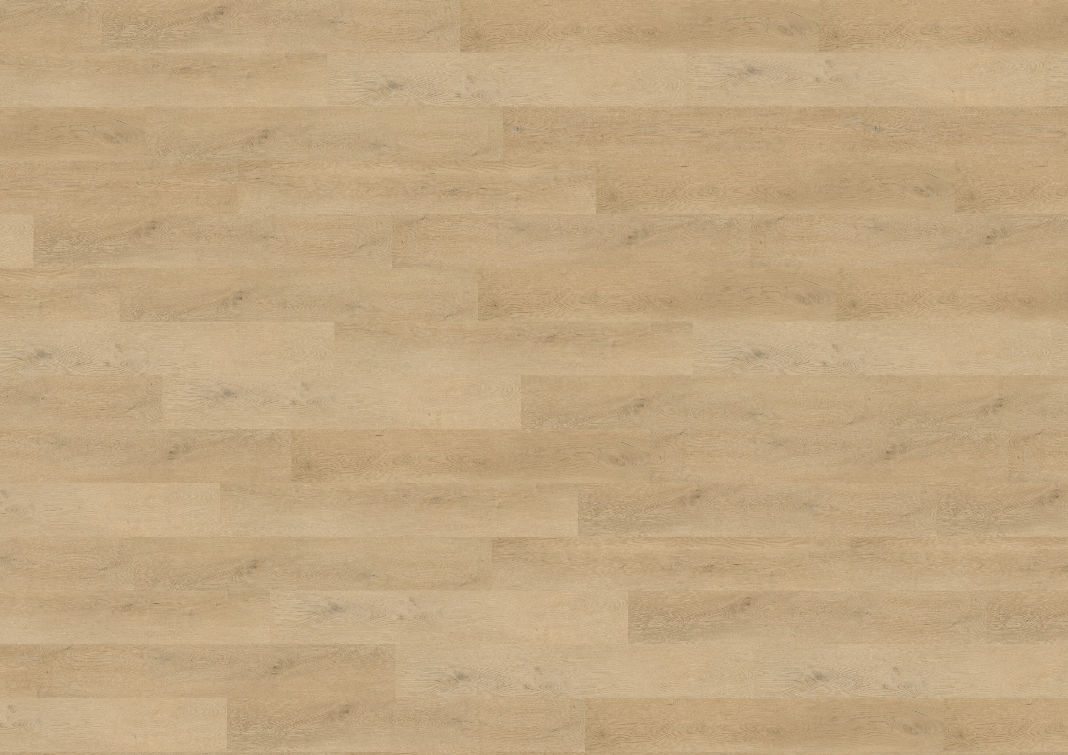 Plain Oak Beige